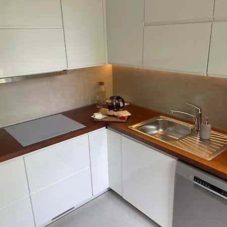 - W Domu - 130m2 Z Tarasem I Ogrodkiem アパート ヴロツワフ