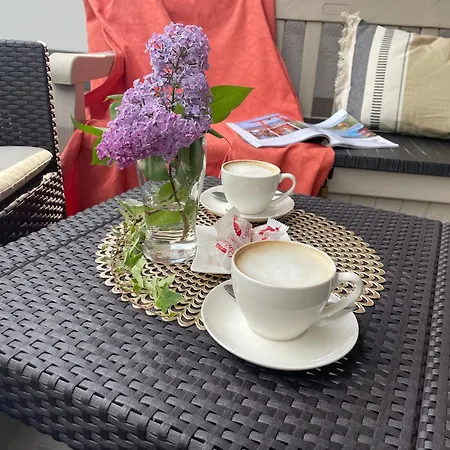 - W Domu - 130m2 Z Tarasem I Ogrodkiem アパート *