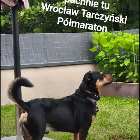 - W Domu - 130m2 Z Tarasem I Ogródkiem Apartamento Wrocław